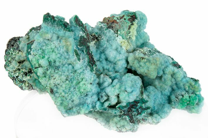 Forest Green Conichalcite on Chrysocolla - Namibia #295896